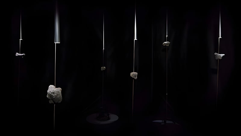 Les Possédé.e.s by Thomas MEBIUS